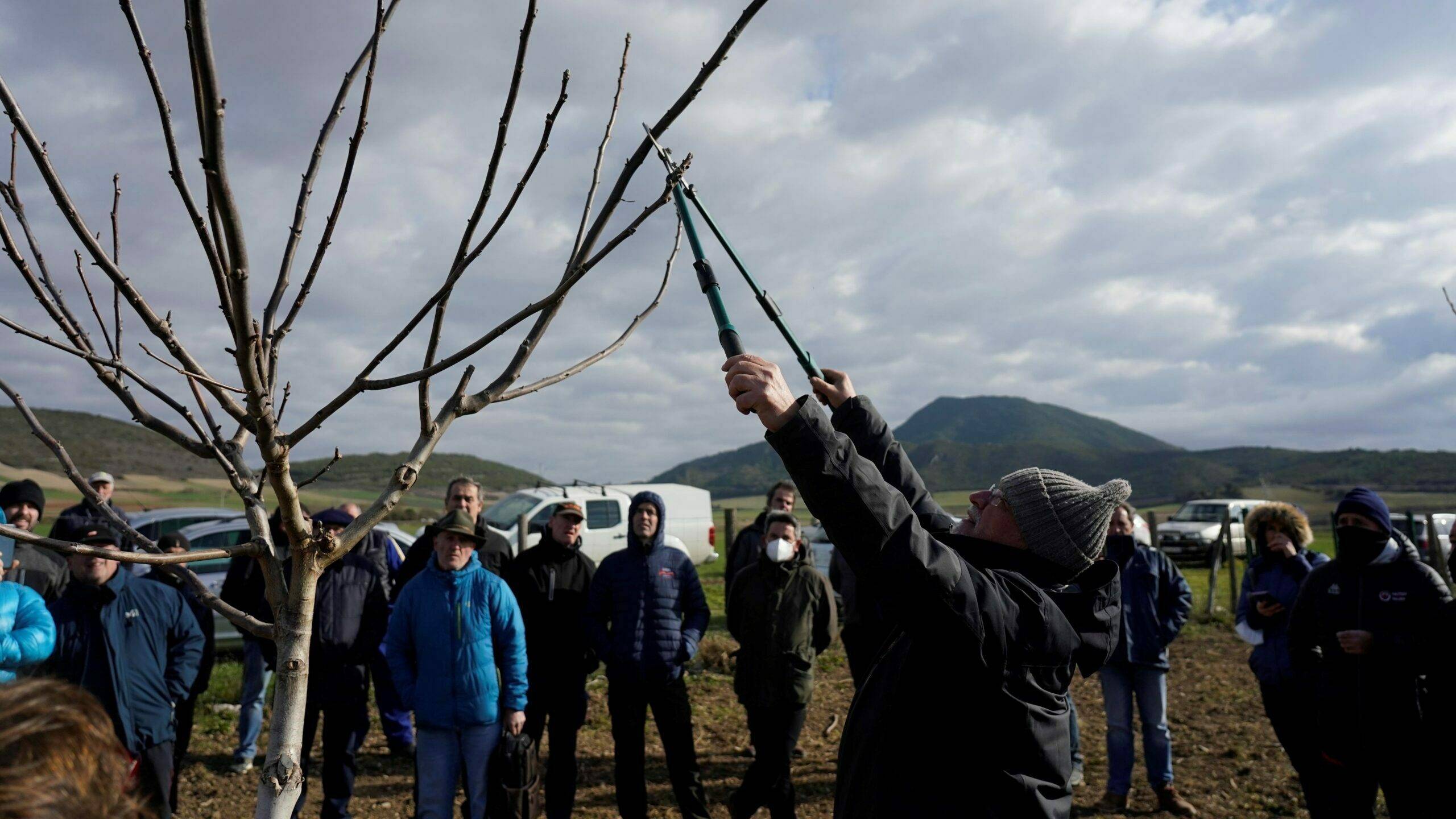 frutos-secos-agricultura-vasca|frutos-secos-agricultura-vasca